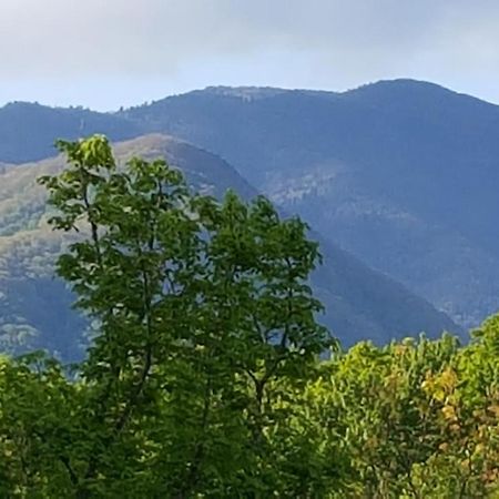 Mountain Serenity Гатлинбург Экстерьер фото